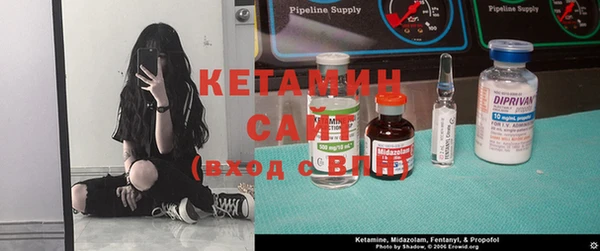 шишки Магас