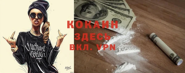 твердый Мегион