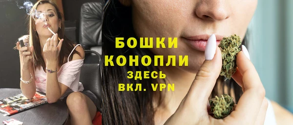 шишки Магас