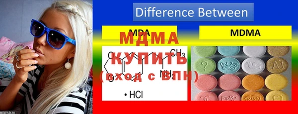 шишки Магас