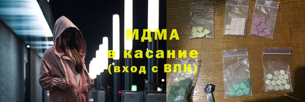 шишки Магас