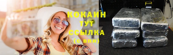 твердый Майский