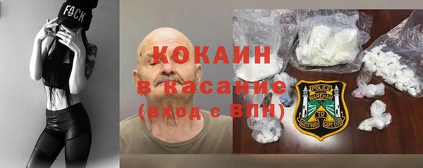 шишки Магас