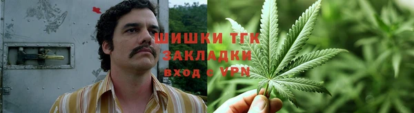 шишки Магас