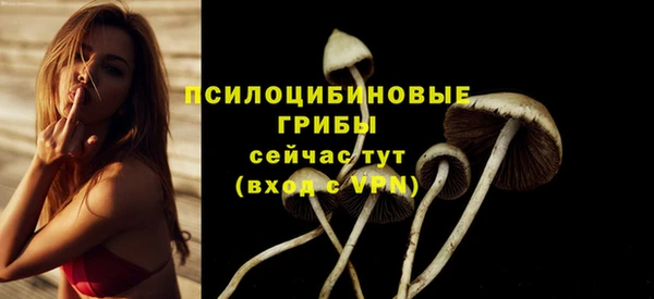 шишки Магас