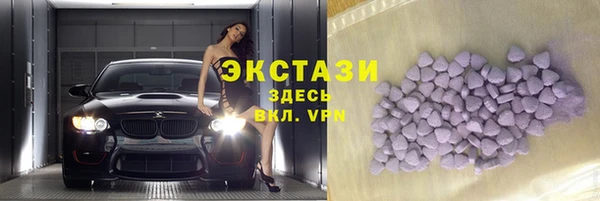 шишки Магас