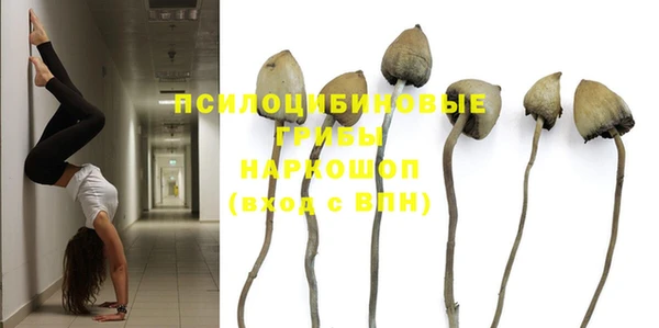 тгк Магадан