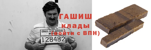 шишки Магас