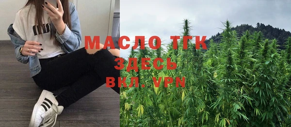 шишки Магас