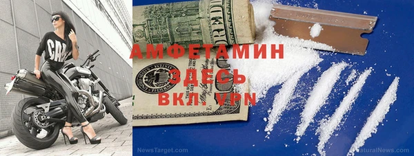 шишки Магас