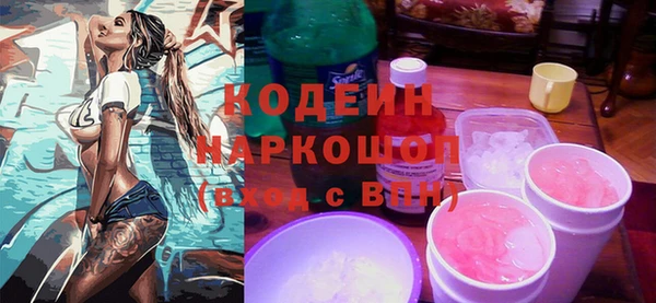 шишки Магас