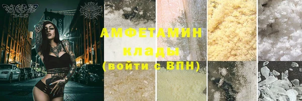 шишки Магас