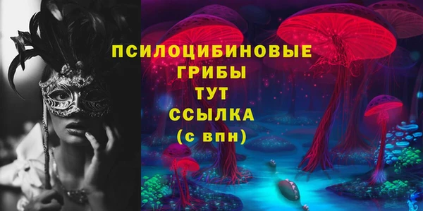 шишки Магас