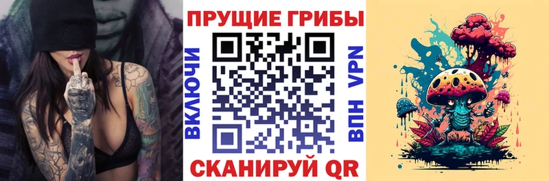 hydra онион Северская Галлюциногенные грибы Cubensis